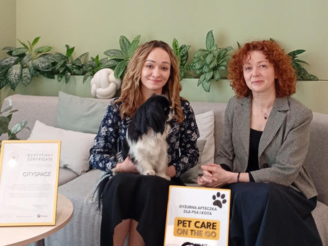 CitySpace dołącza do #ZNapędemNa4Łapy – nowy standard w przestrzeniach biurowych