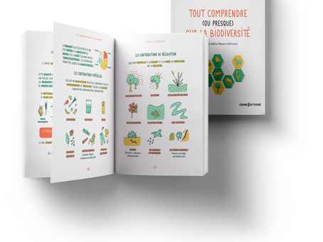 Tout comprendre (ou presque) sur la biodiversité