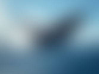 Discover the Best Whale Watching Spots in Haleiwa