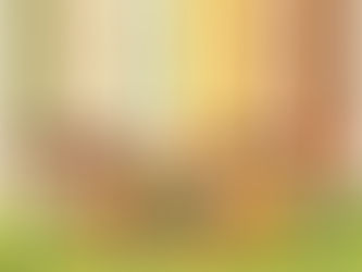 6 Filarów - strategia pracy z dziećmi