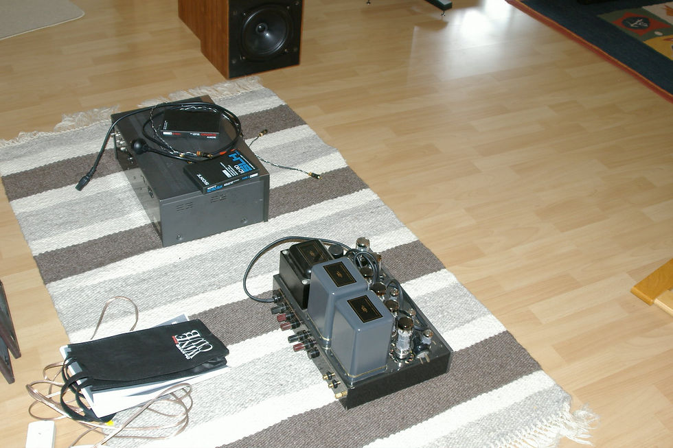 IMGP5382