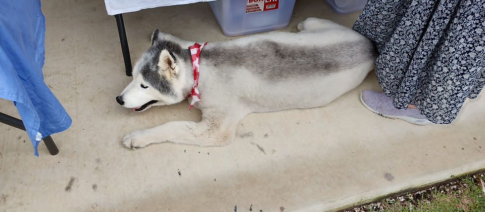 IMG_20240225_124902396_HDR