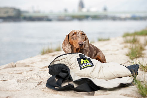 maelson-cosy-roll-80-hundedecke.jpg