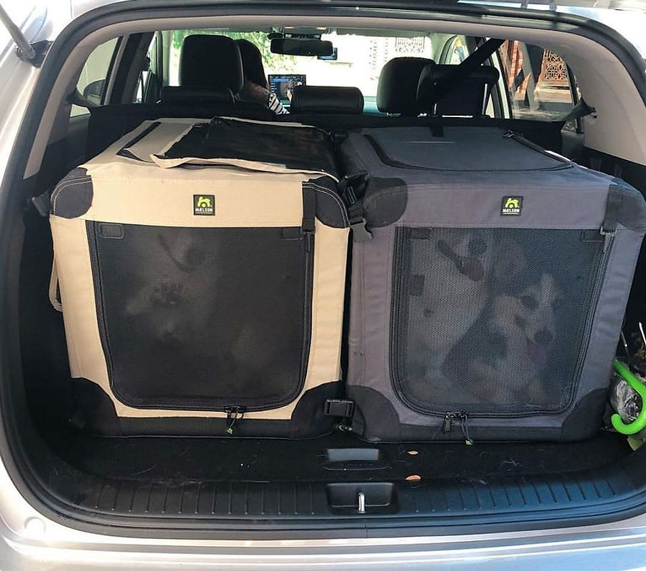 Car kennels.jpg