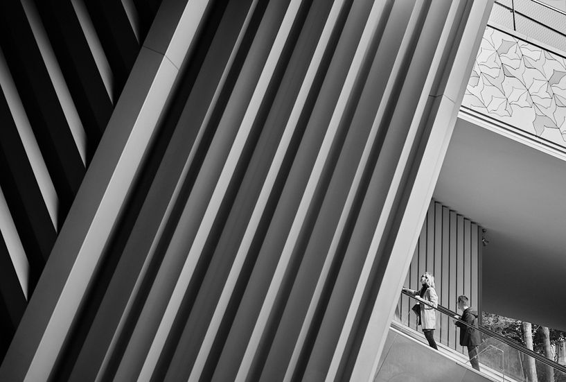 philharmonie de paris escalier