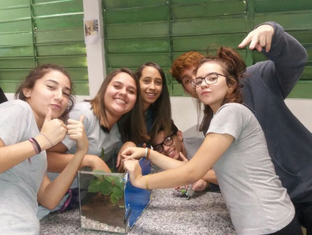 Práticas de biologia  realizados  pelos alunos do l ano D e 2 C