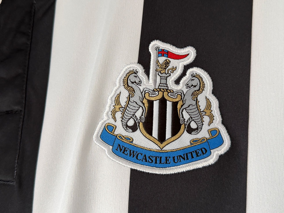 Miniature : Newcastle United 2012/13 Home COLOCCINI 2 Large 8/10