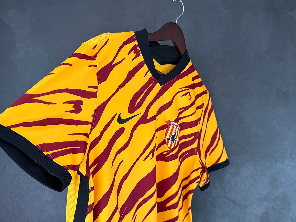 Miniature :  Benevento Calcio 2022/23 Home Large 10/10