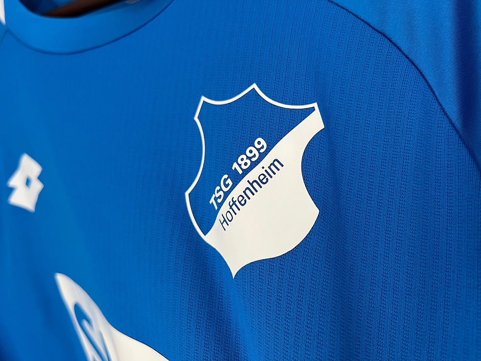 Miniature : TSG 1899 Hoffenheim 2018/19 Home JOELINTON 34 XL 10/10