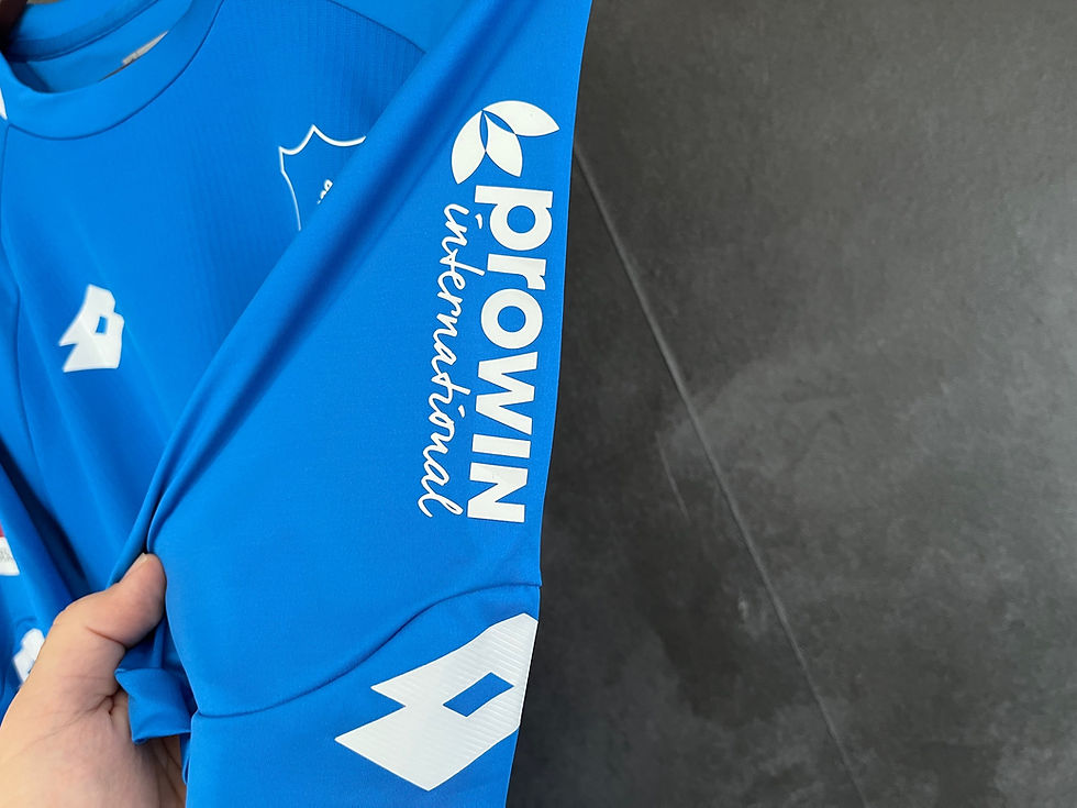 Miniatura: TSG 1899 Hoffenheim 2018/19 Home JOELINTON 34 XL 10/10