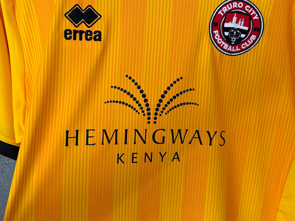 Miniaturbild: Truro City 2022/23 Third Large 10/10 BNWT