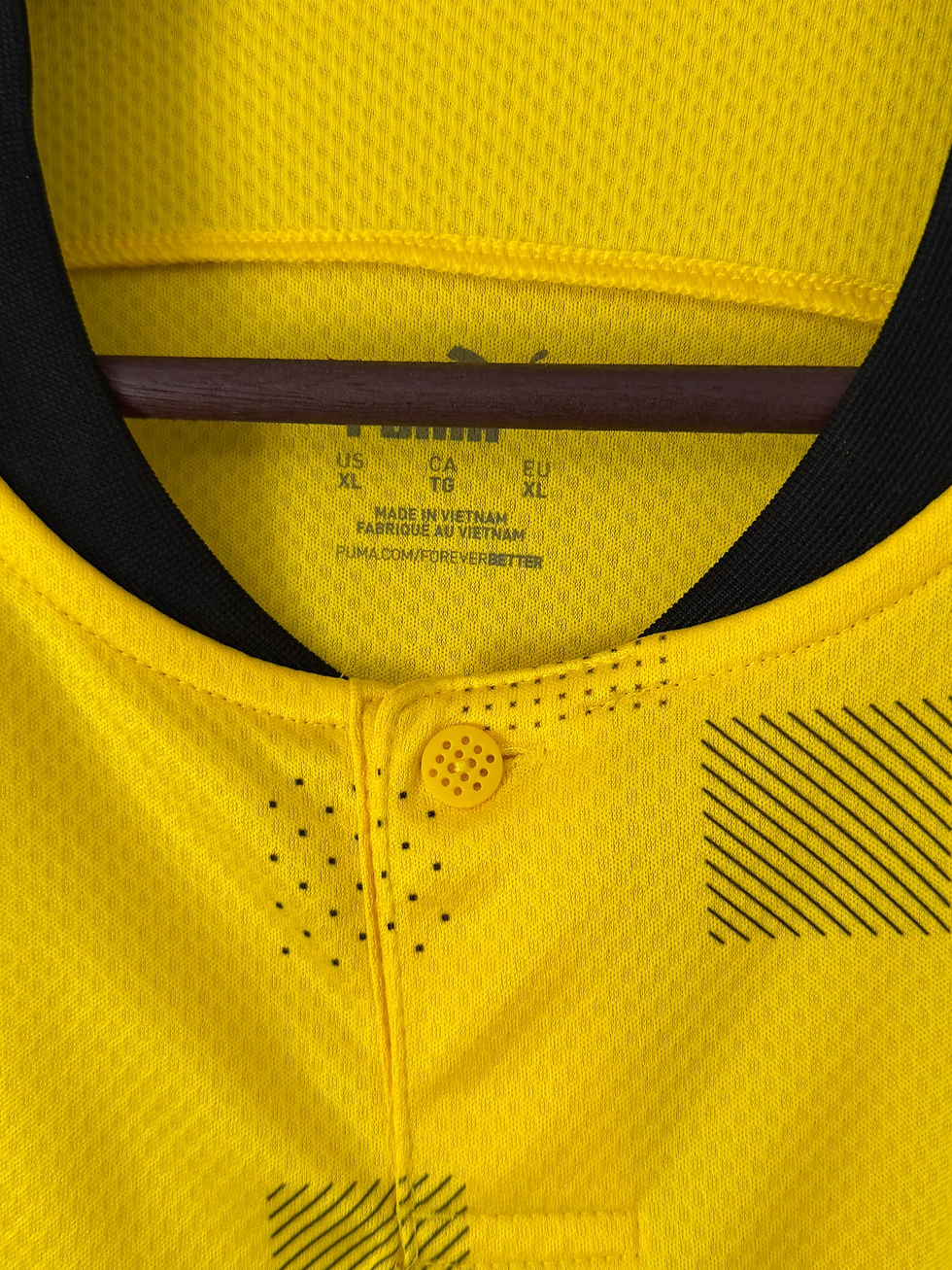 Miniaturbild: BVB Borussia Dortmund 2020/21 Cup BRANDT 19 XL 8/10