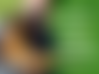 Motivational Monday- Do we pay enough attention to building motivation?