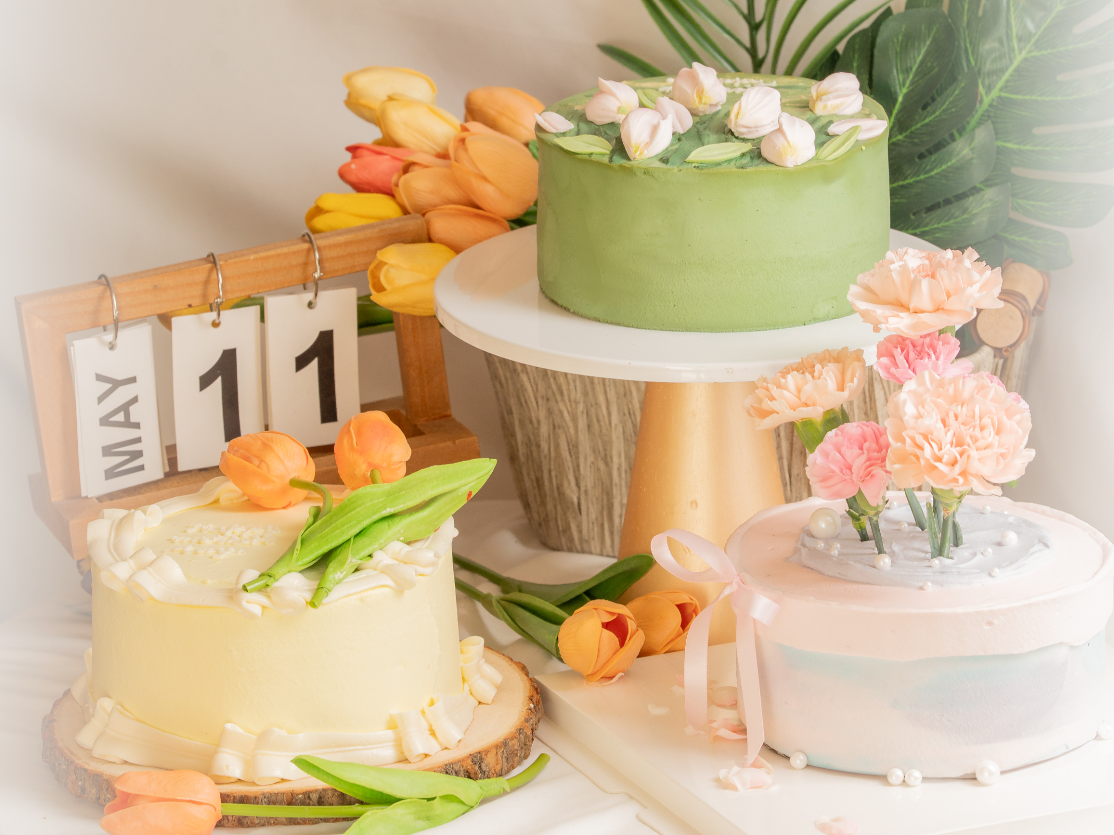 Arranged Food and Objects