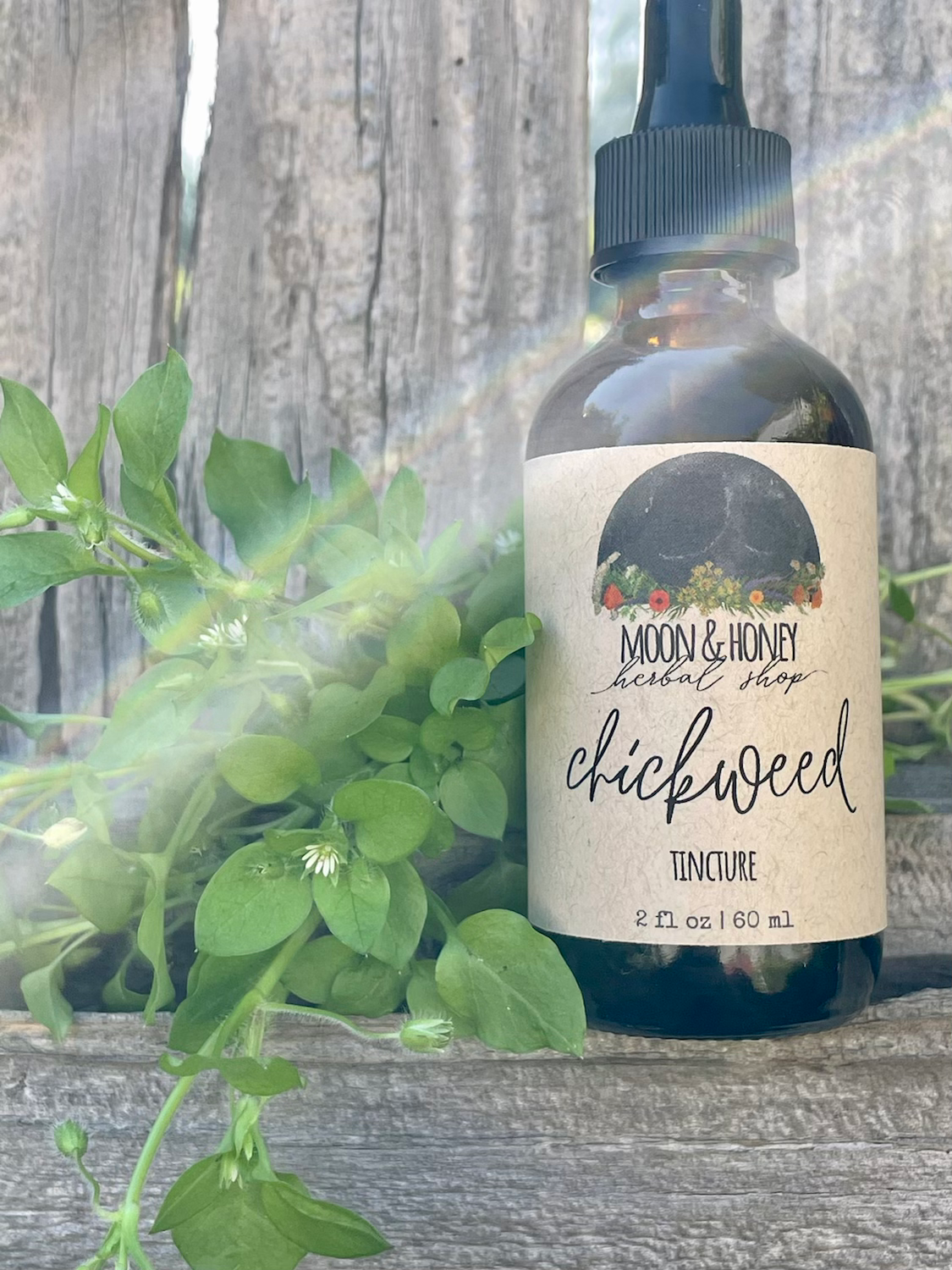 chickweed tincture
