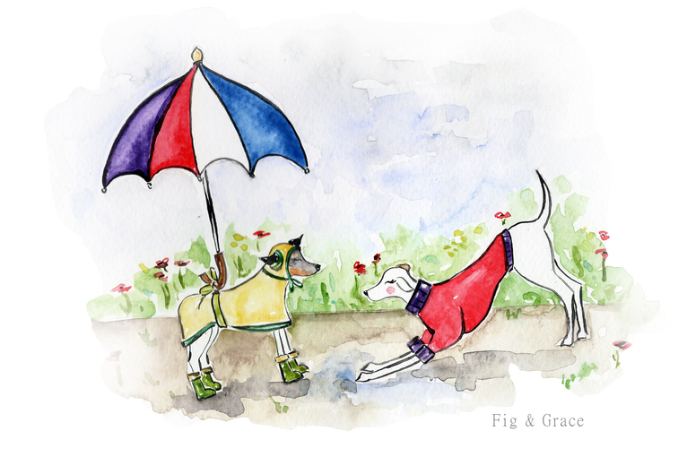 Gracie and the Umbrella