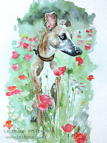 custom watercolour painting of sight hound