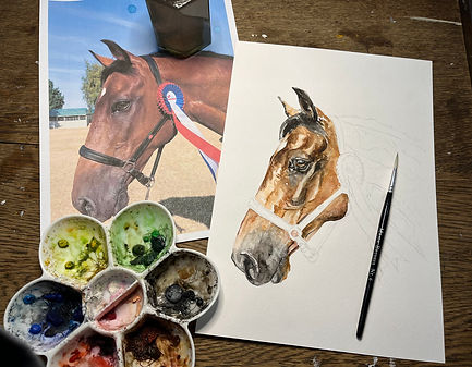 Progress shot with reference photo attached of bespoke custom watercolour of horse