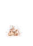Rabbits x 2 background.png