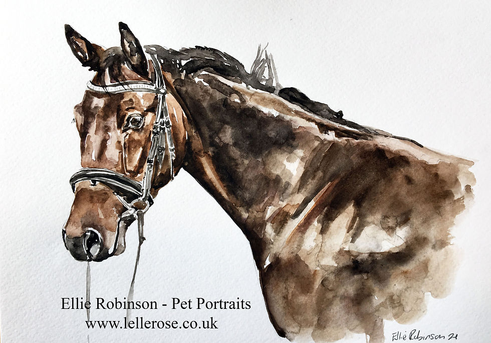 Thumbnail: Watercolour Single Horse Portrait