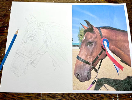 Watercolour portrait in sketch stage by Eleanor Rose Robinson LelleRose of bay horse with rosette