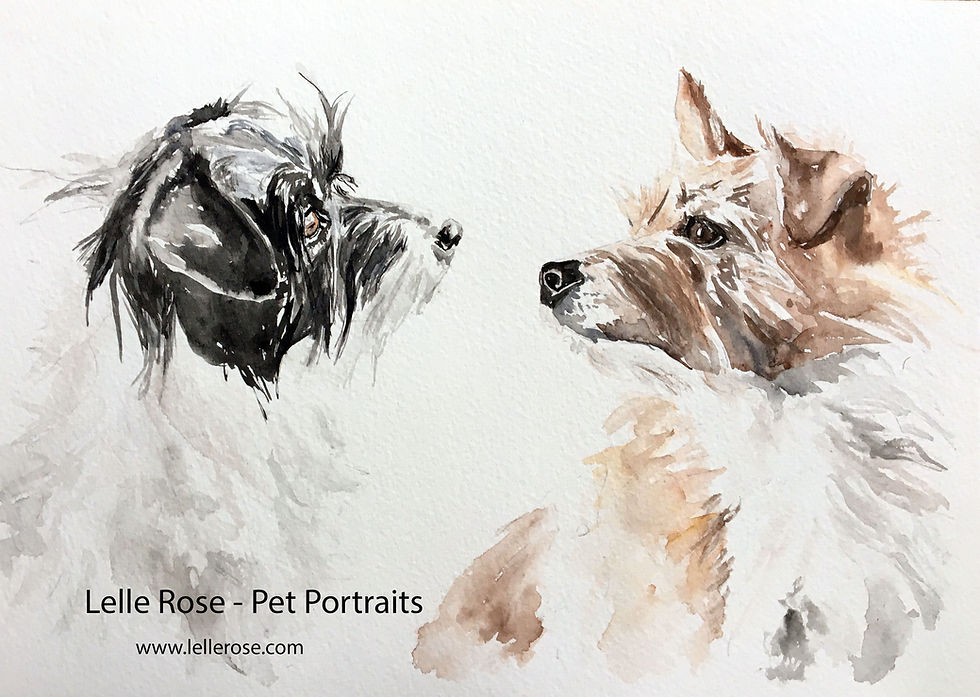A double jack russell terrier hand painted watercolour portrait. Commissioned for photos of the two gorgeous little dogs.