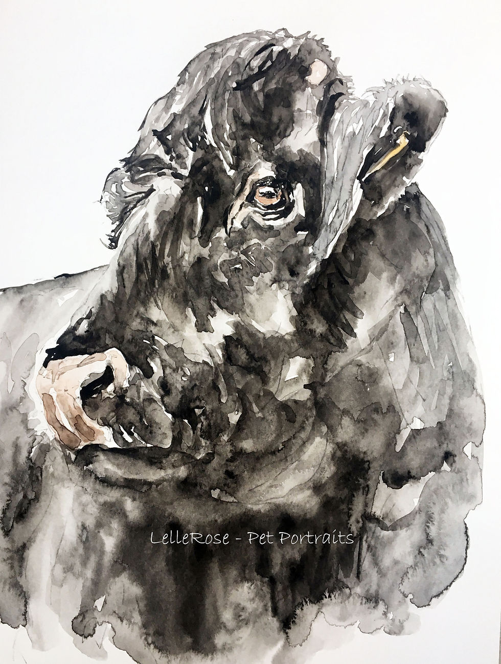 Thumbnail: Watercolour Single Pet Portrait