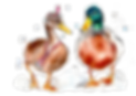 flappers.png
