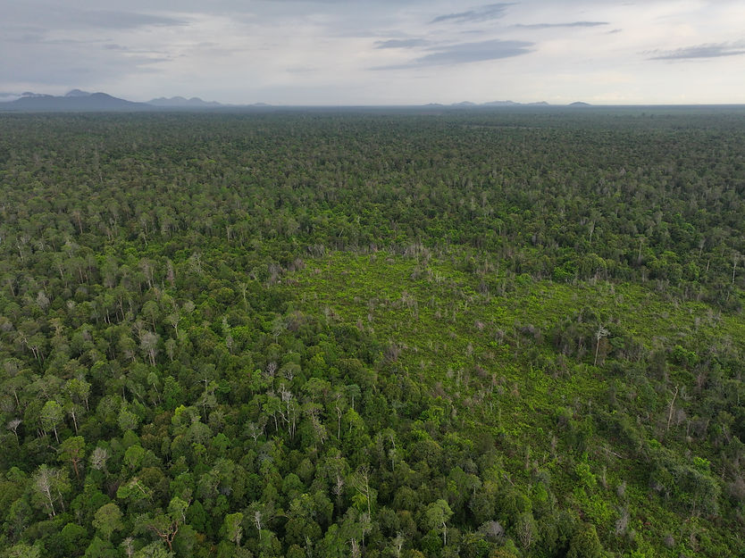 dji_fly_20231115_151356_0027_1701874722267_photo.jpg