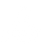 SROI White.png