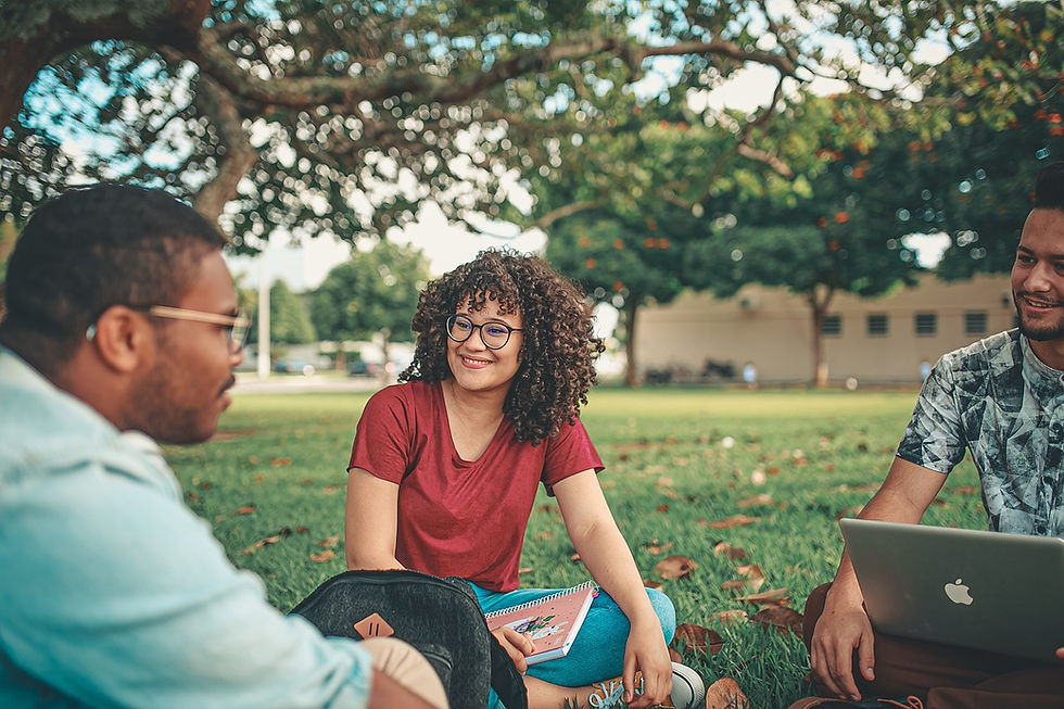 Grupo de estudantes universitários sentados em um gramado, conversando e estudando juntos