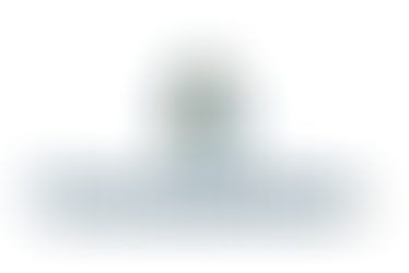 Logotipo da empresa Constellation