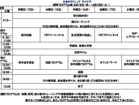 デイケアプログラム