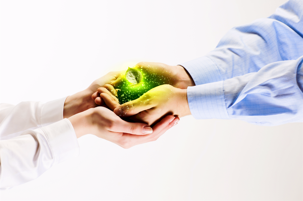 two sets of hands holding a glowing seedling