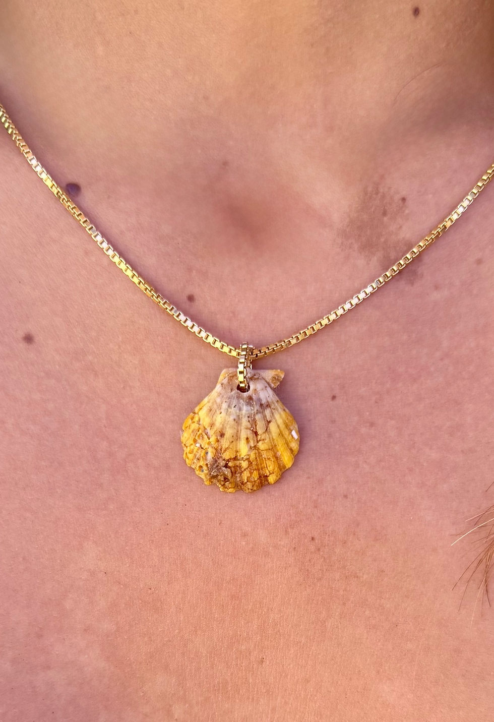 Thumbnail: Sunrise Shell Choker