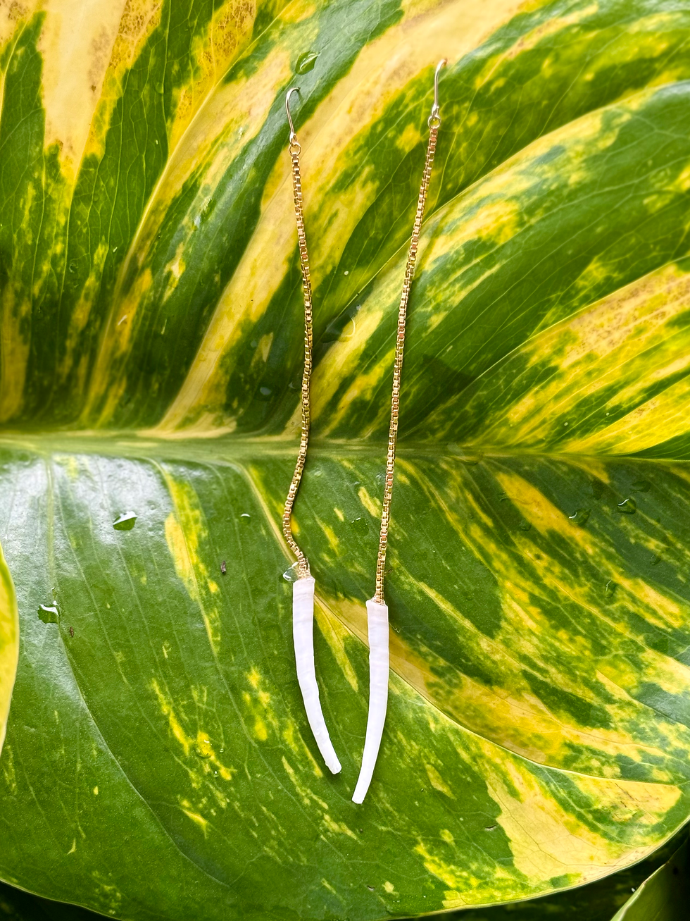 Tusk Shell Drop Earrings