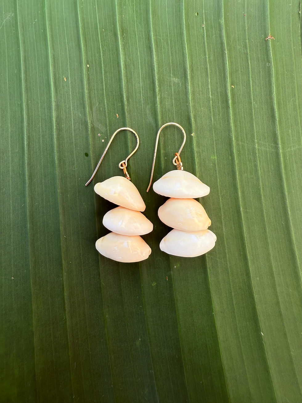 Thumbnail: Ikaika Cowrie Earrings