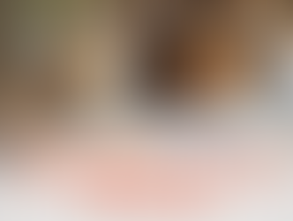 licensing taille humaine