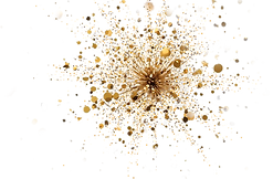 paillettes.png
