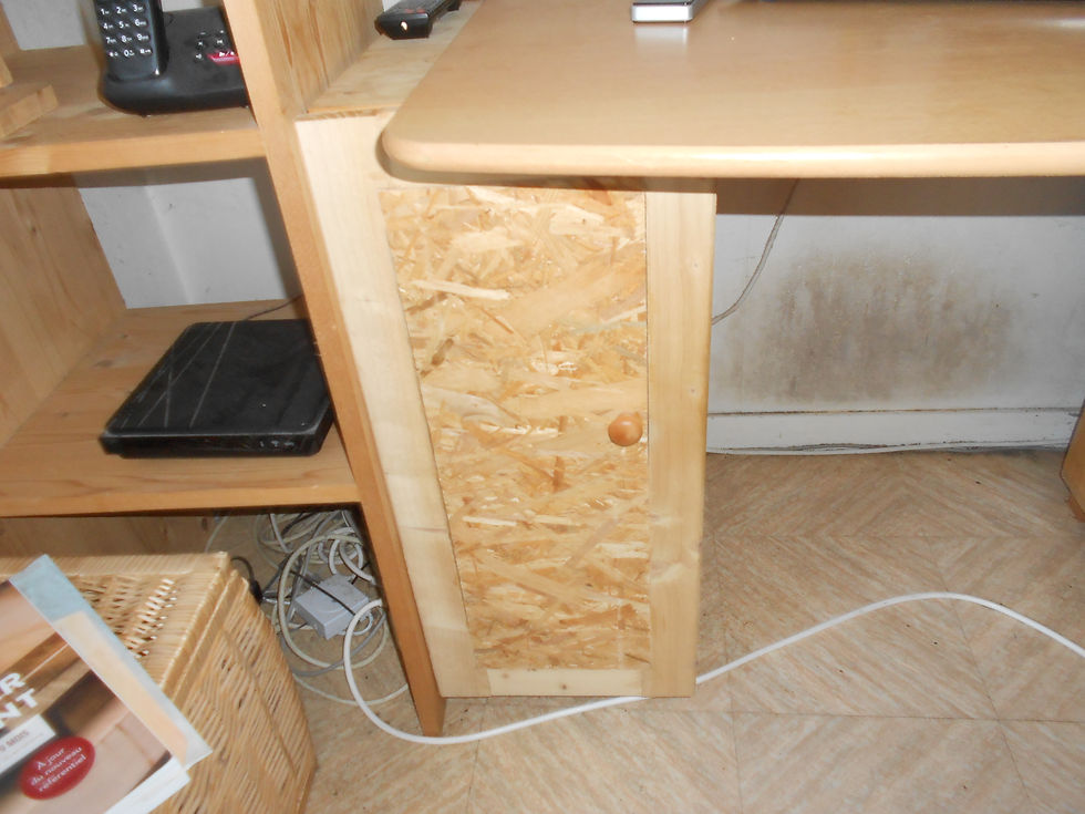 La charnière en Porte en applique. - le projet