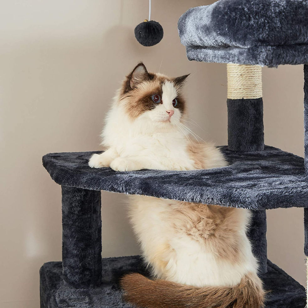 Thumbnail: Multi-Level Cat Condo 55.9"