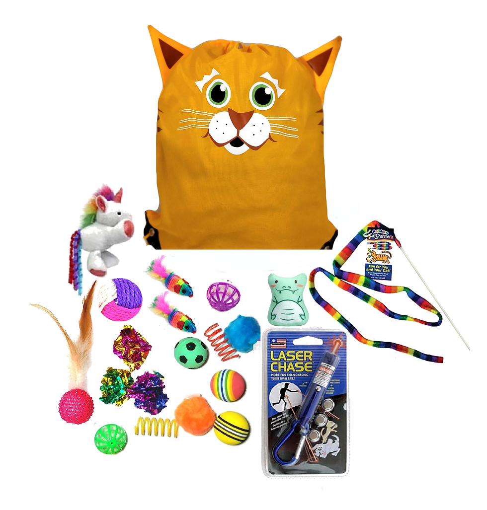 Thumbnail: BloOpzy "Yellow Tabby" Drawstring Bag