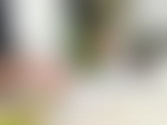 Is Aloe Plant an Easy Care Houseplant?