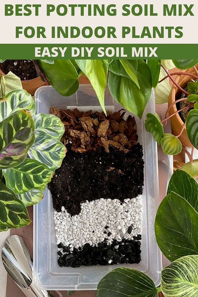potting soil for indoor plants