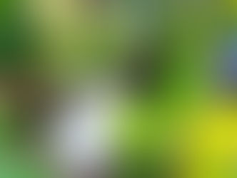 Ivy Among the Plants