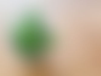 Is Jade Plant an Easy Care Houseplant?