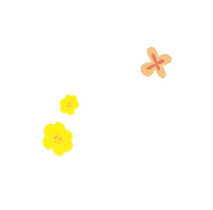 LAD常態圓筒盒wix頁面-修3.png