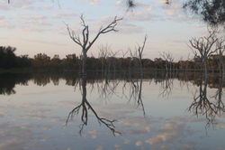 Lake Reflection at Our Farms