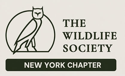 2026 Logo NYTWS.jpg