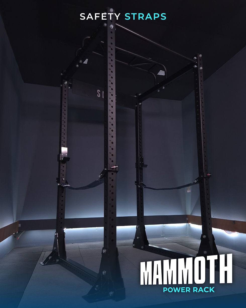 Thumbnail: Mammoth Power Rack - 4 Post